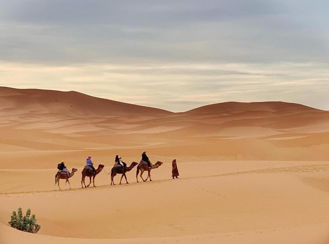 ホテル Erg Chegaga Camp Excursions マハミド エクステリア 写真